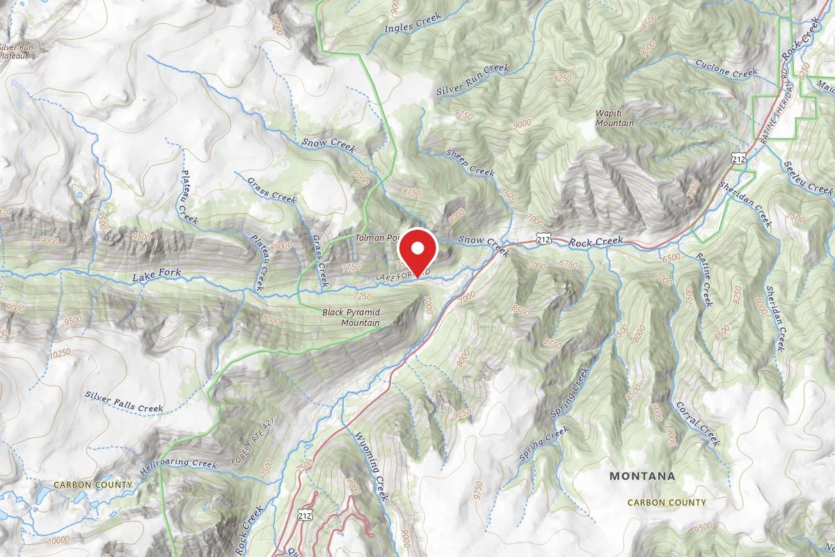 Custer Gallatin Dispersed Campsite BRD2346-005