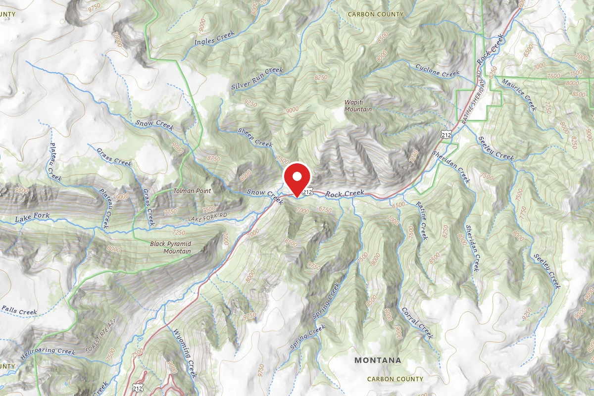 Custer Gallatin Dispersed Campsite BRDHWY212-001