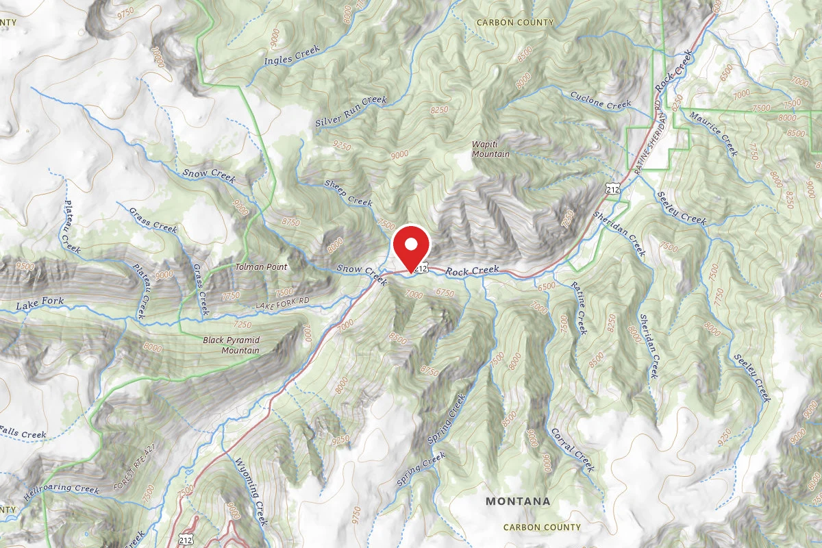 Custer Gallatin Dispersed Campsite BRDHWY212-003