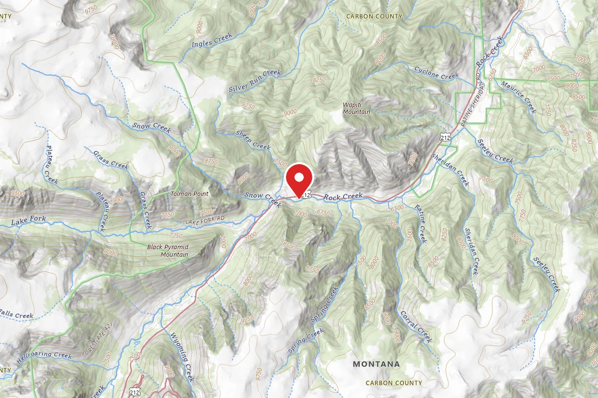 Custer Gallatin Dispersed Campsite BRDHWY212-004