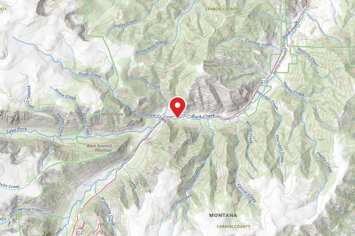 Custer Gallatin Dispersed Campsite BRDHWY212-005