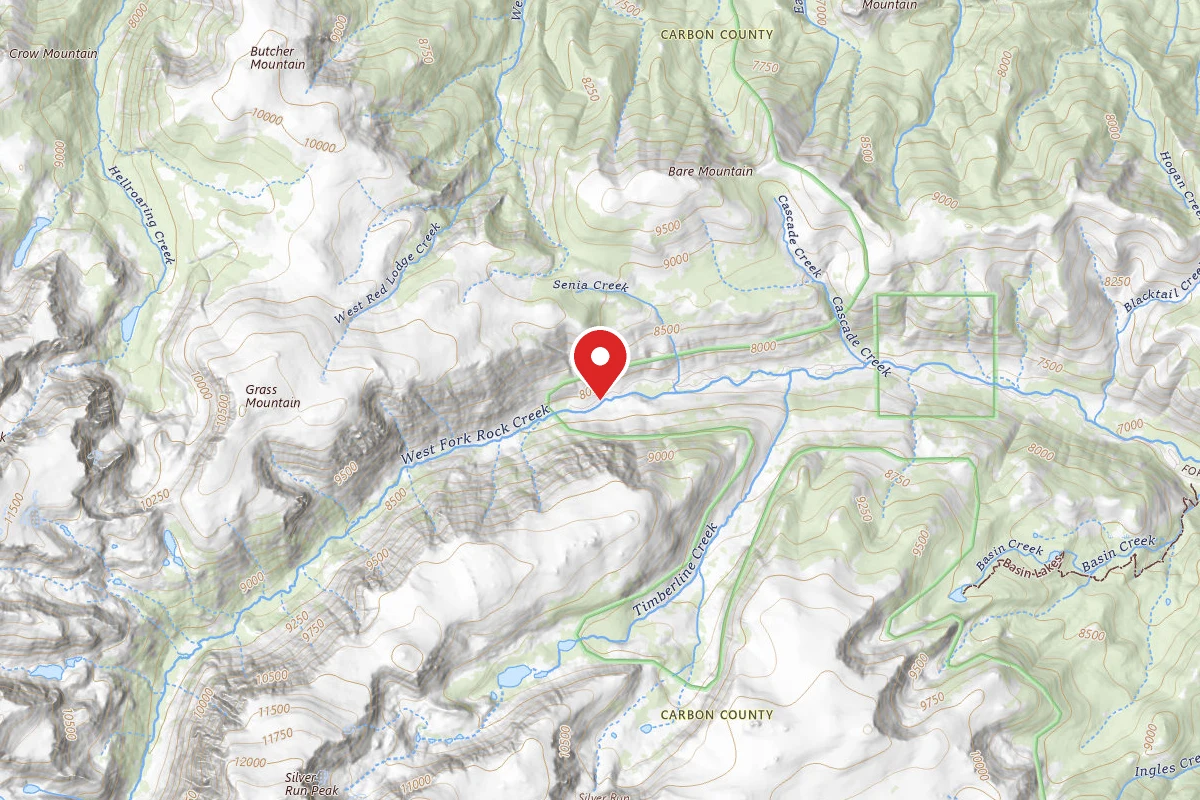 Custer Gallatin Dispersed Campsite BRD2071-001