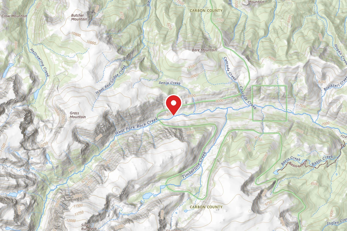 Custer Gallatin Dispersed Campsite BRD2071-002