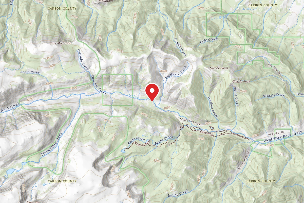 Custer Gallatin Dispersed Campsite BRD2071-006