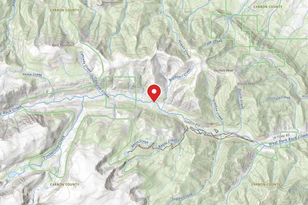 Custer Gallatin Dispersed Campsite BRD2071-009