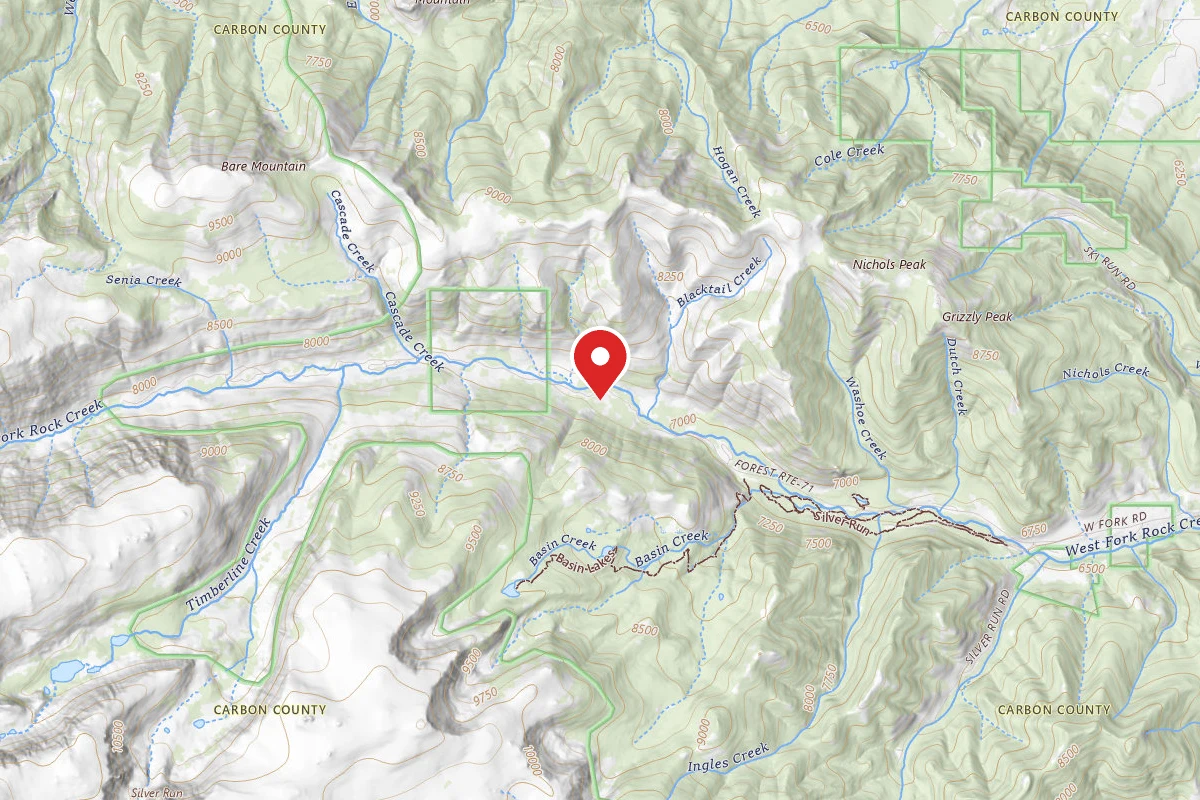 Custer Gallatin Dispersed Campsite BRD2071-016