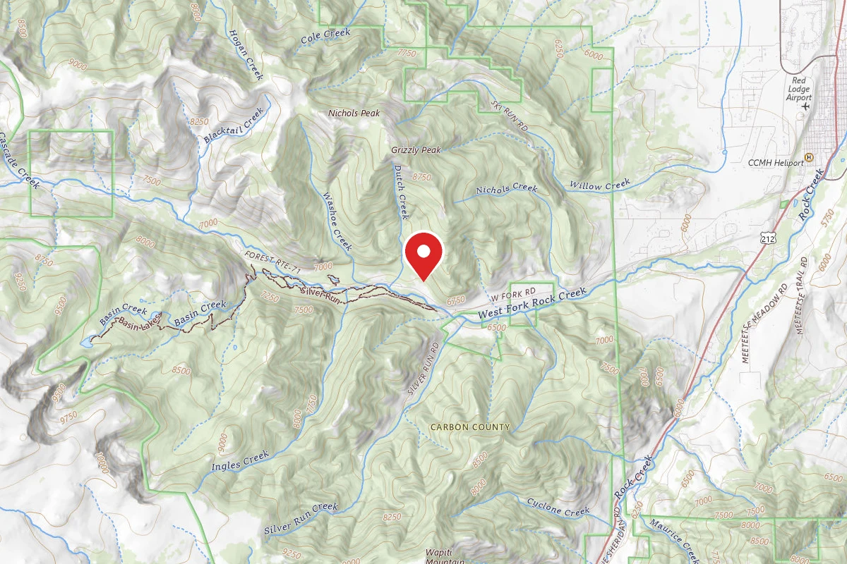 Custer Gallatin Dispersed Campsite BRD20712A-004