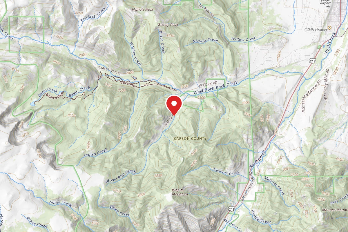 Custer Gallatin Dispersed Campsite BRD2476-003