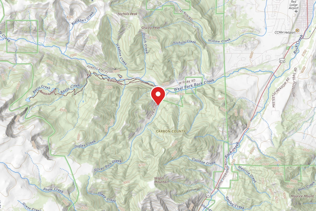 Custer Gallatin Dispersed Campsite BRD2476-004