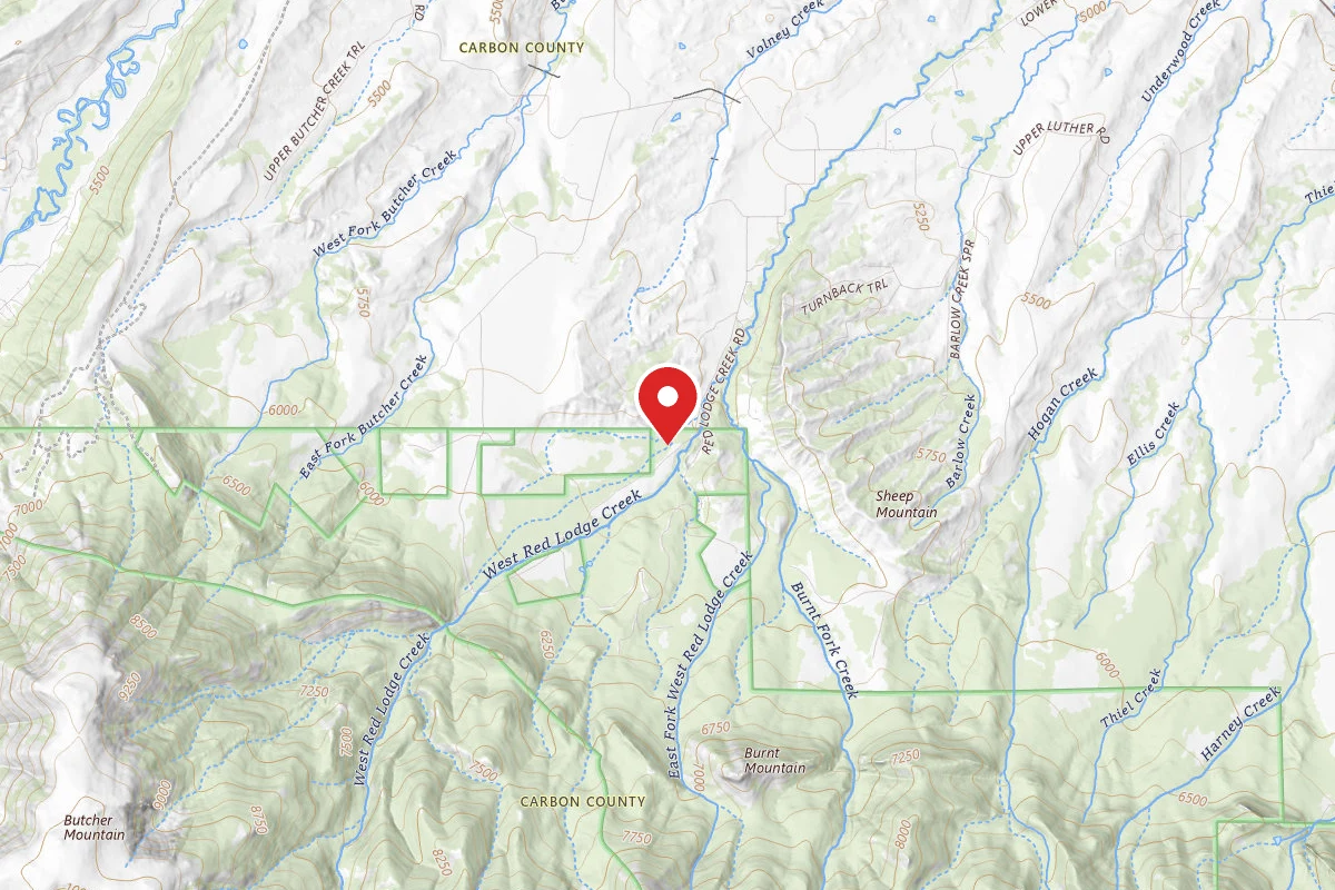 Custer Gallatin Dispersed Campsite BRD2141-001
