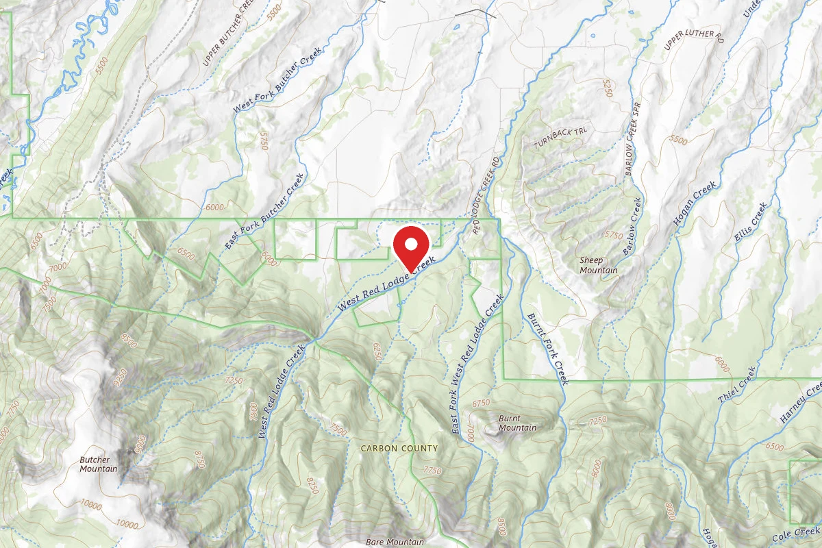 Custer Gallatin Dispersed Campsite BRD2141-003