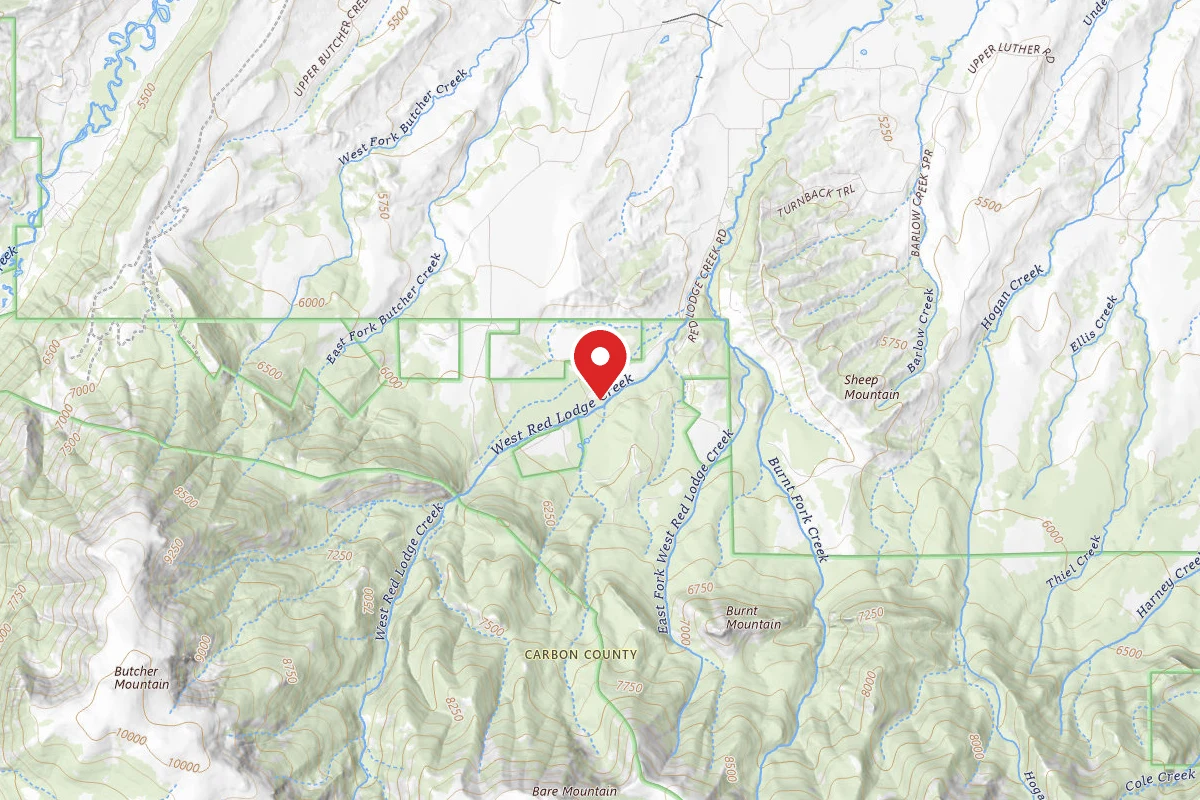 Custer Gallatin Dispersed Campsite BRD2124-004