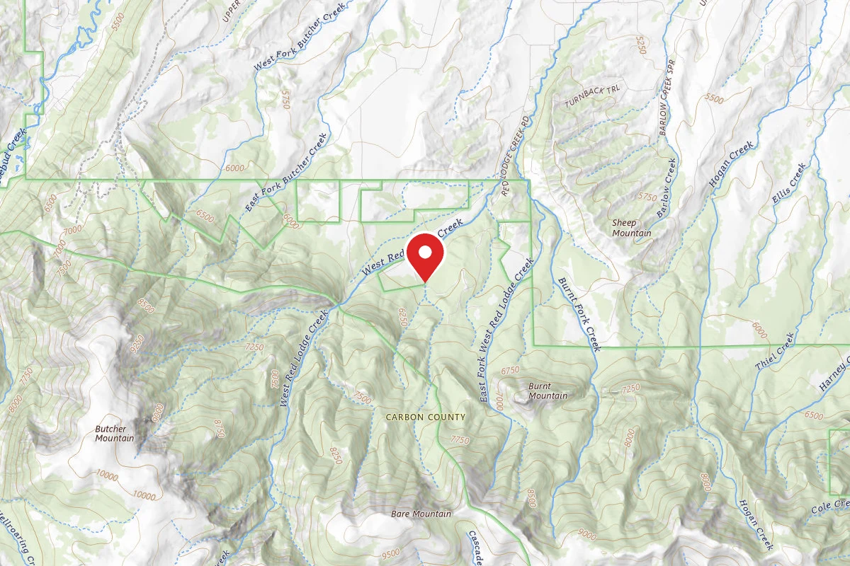 Custer Gallatin Dispersed Campsite BRD2141-005
