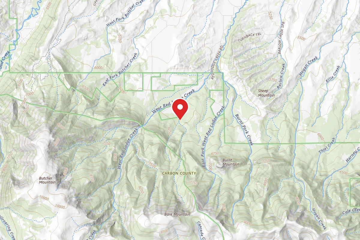 Custer Gallatin Dispersed Campsite BRD2141-006