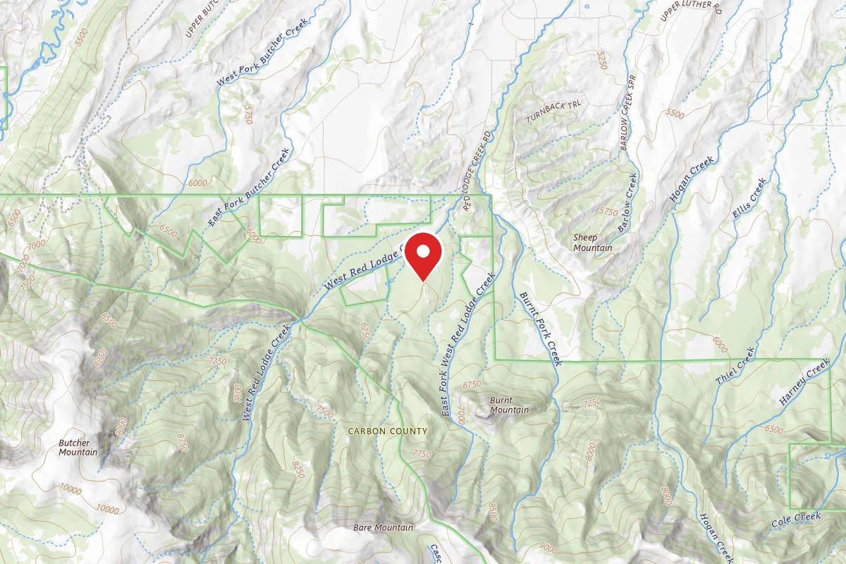 Custer Gallatin Dispersed Campsite BRD2141-007