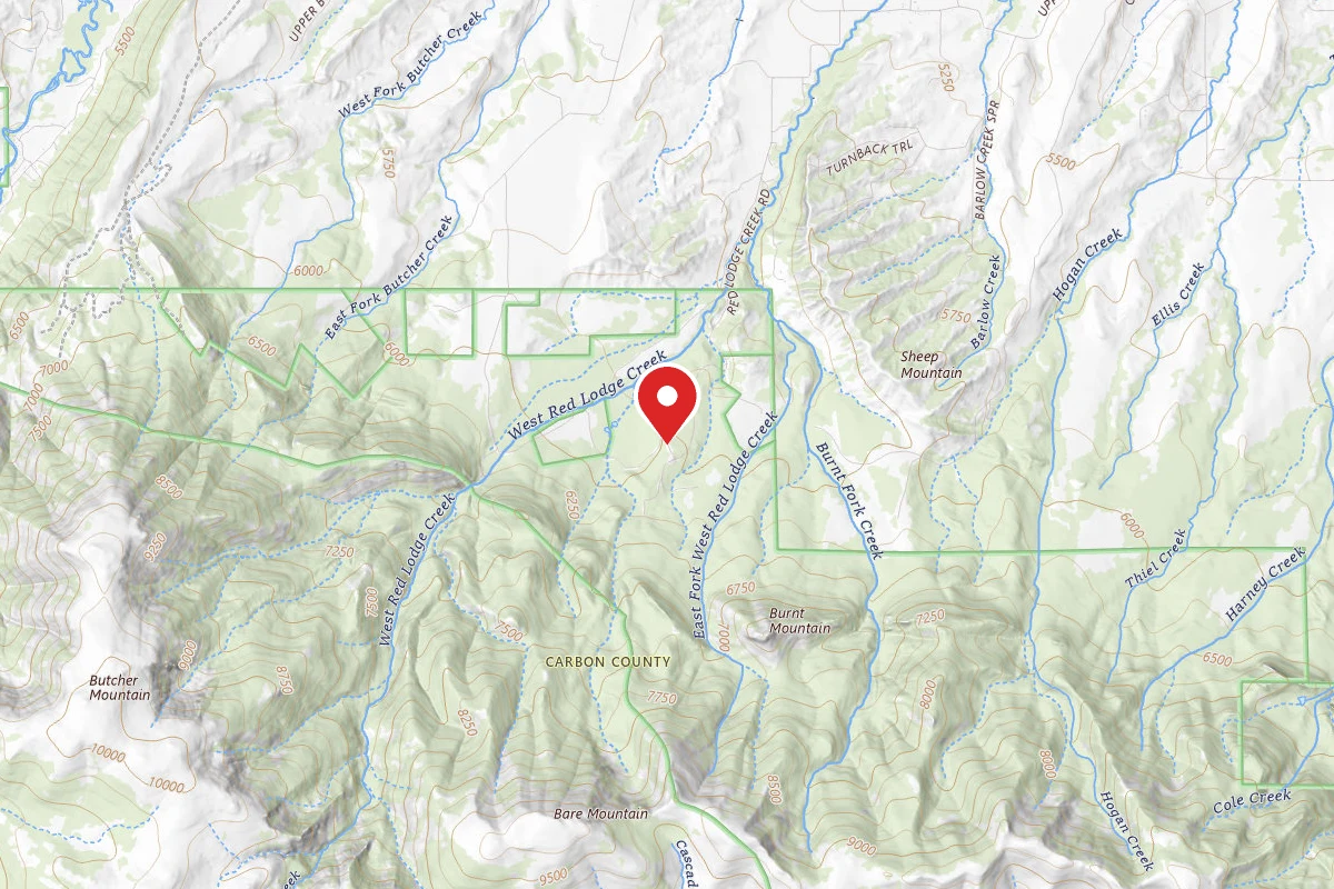 Custer Gallatin Dispersed Campsite BRD21416-001