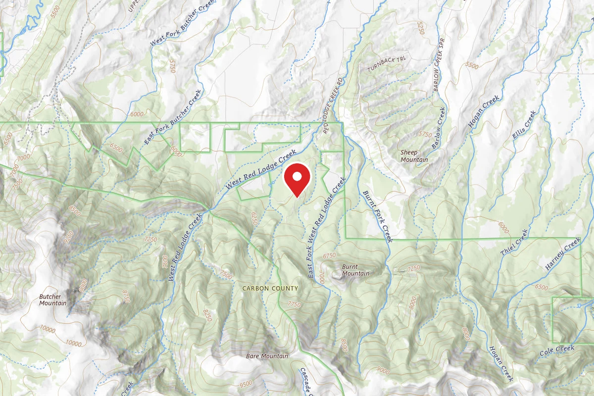 Custer Gallatin Dispersed Campsite BRD2141-009