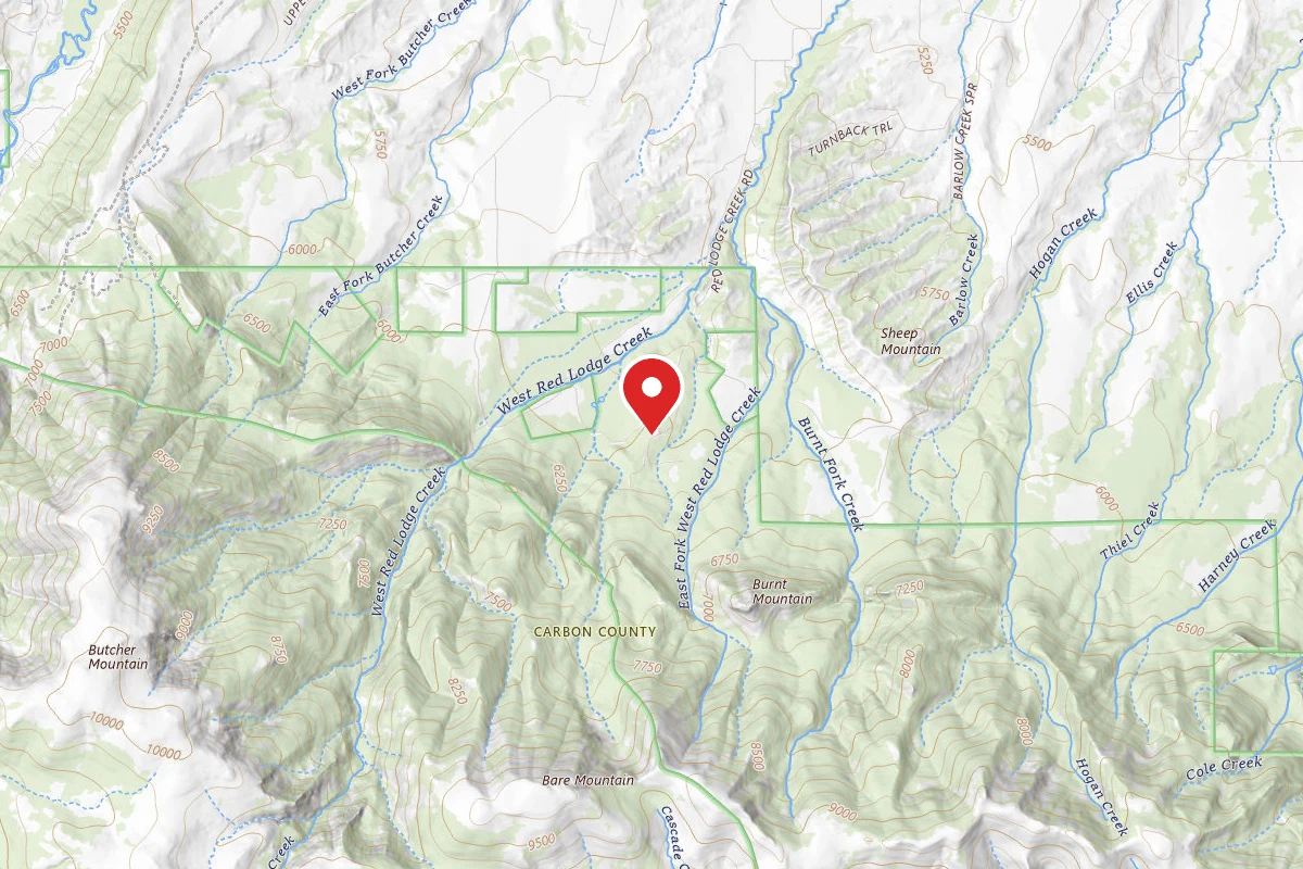 Custer Gallatin Dispersed Campsite BRD2141-010
