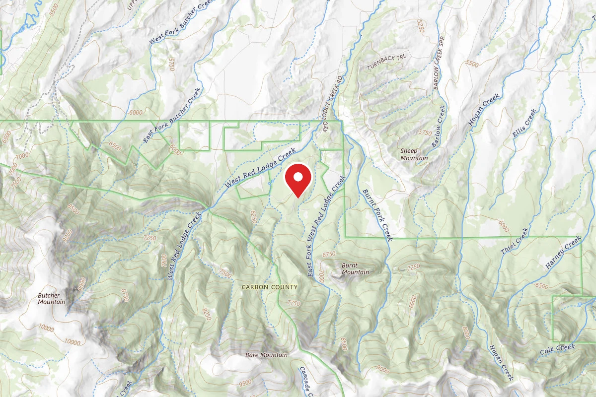 Custer Gallatin Dispersed Campsite BRD2141-011