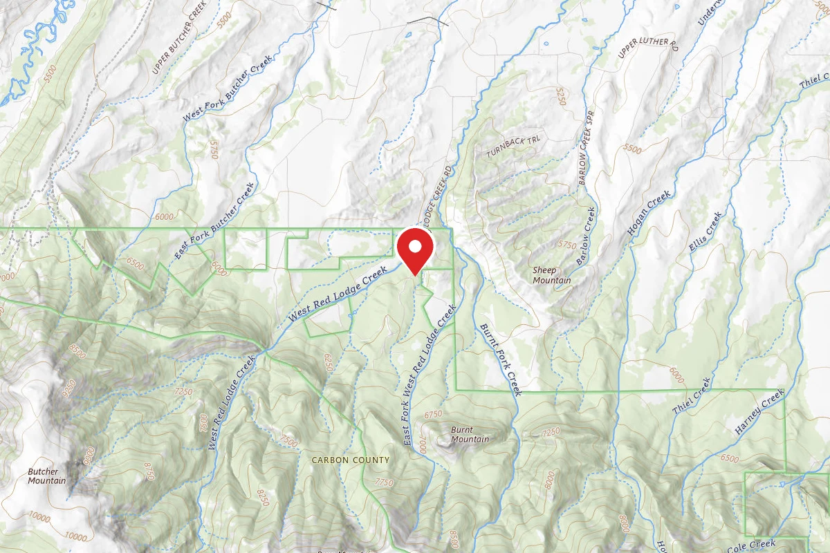 Custer Gallatin Dispersed Campsite BRD2141-012