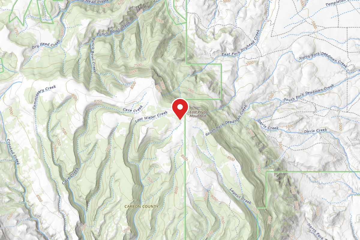 Custer Gallatin Dispersed Campsite BRD2308-002