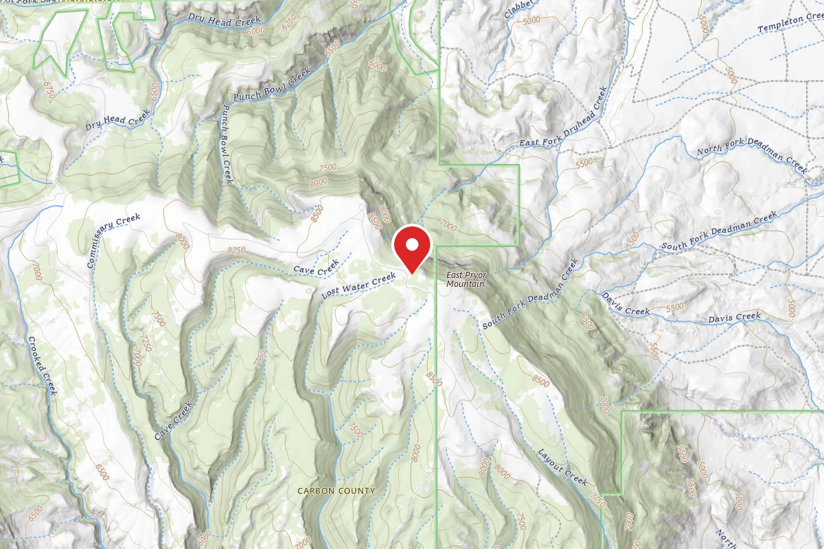 Custer Gallatin Dispersed Campsite BRD2308-004