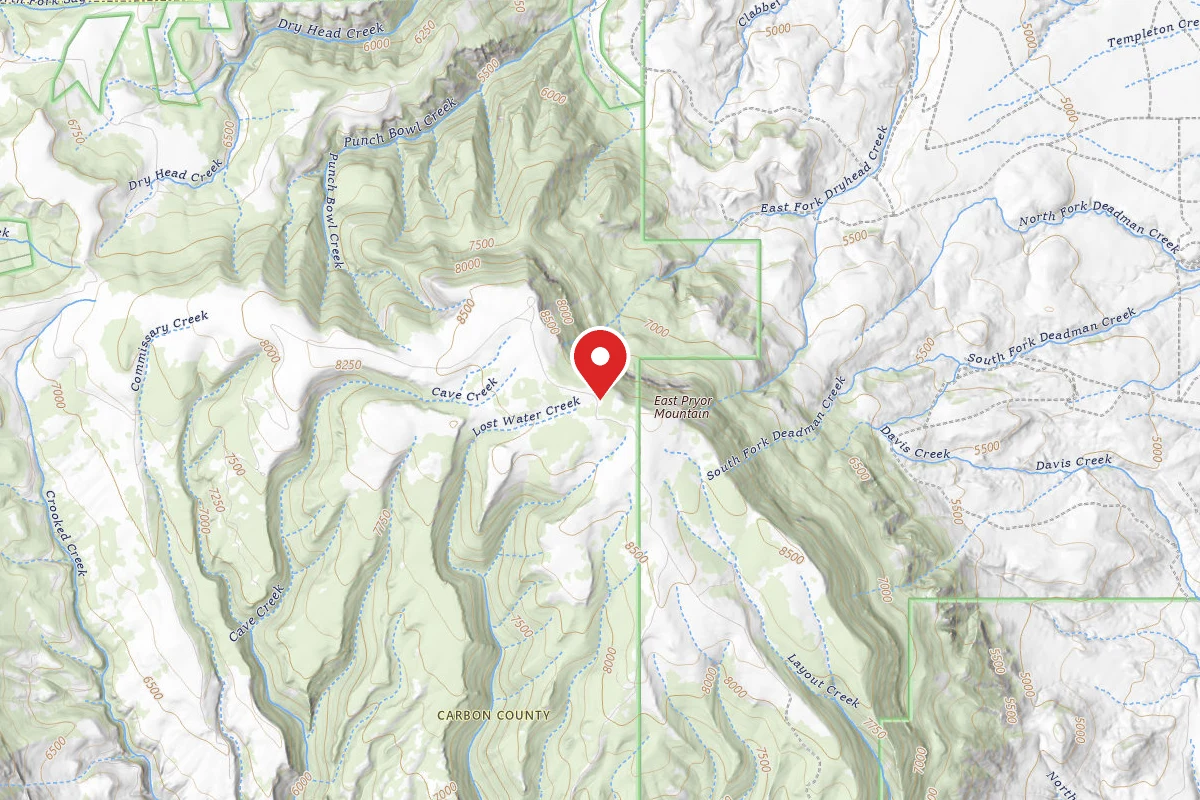 Custer Gallatin Dispersed Campsite BRD2308-005