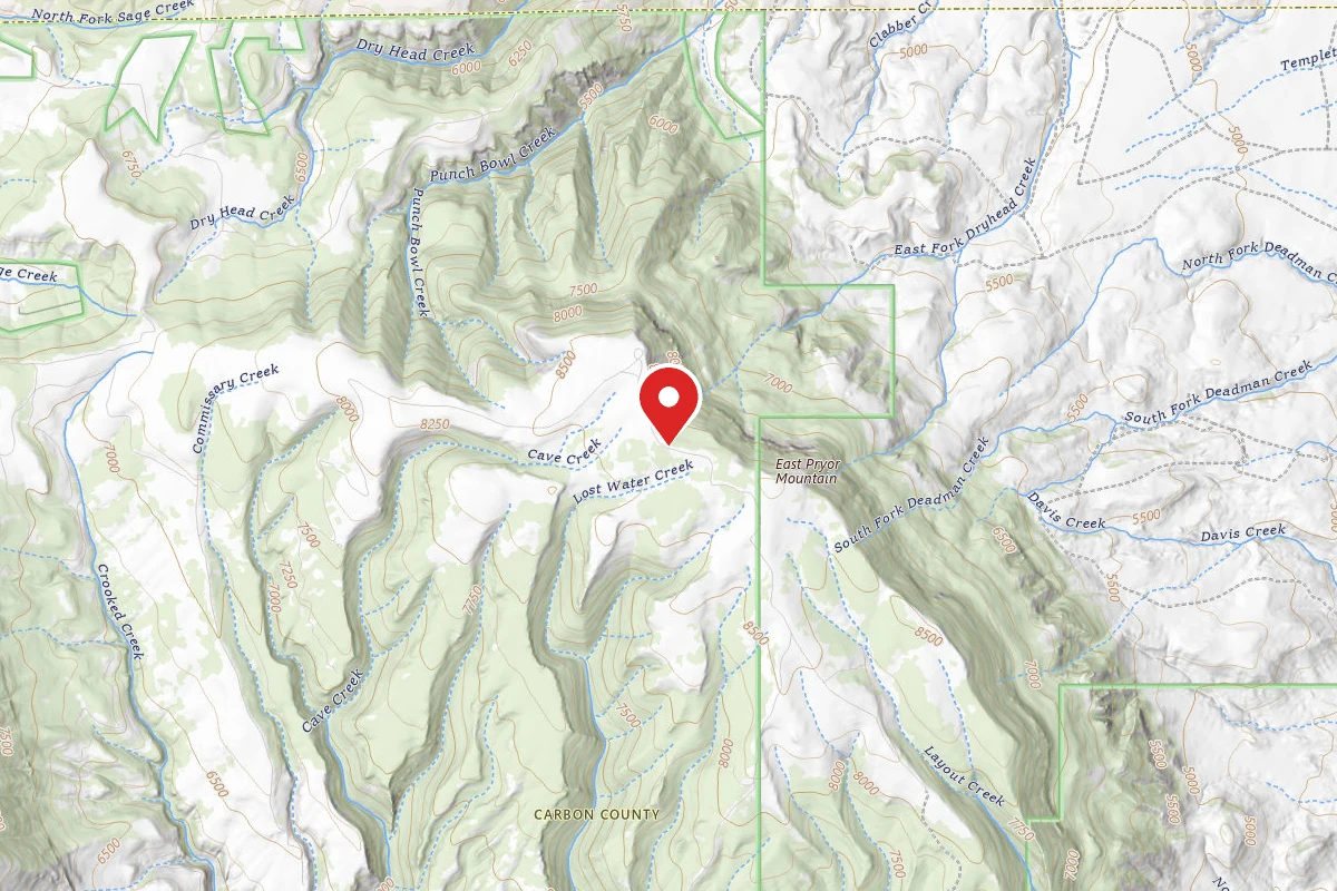 Custer Gallatin Dispersed Campsite BRD2308-006