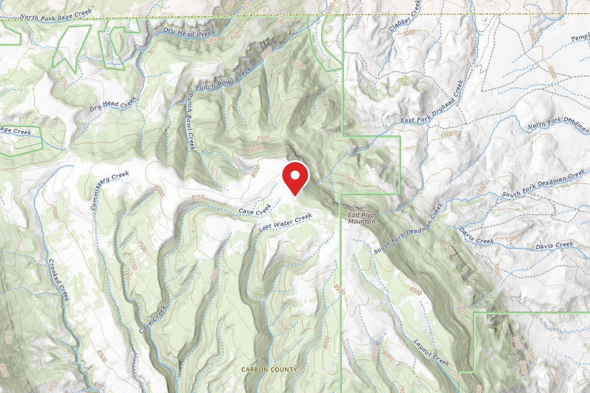 Custer Gallatin Dispersed Campsite BRD2308-007