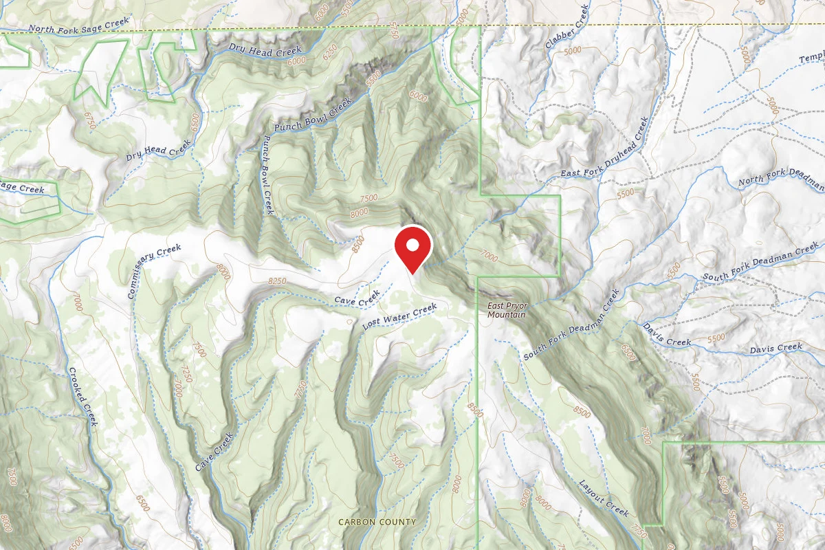 Custer Gallatin Dispersed Campsite BRD2308-009