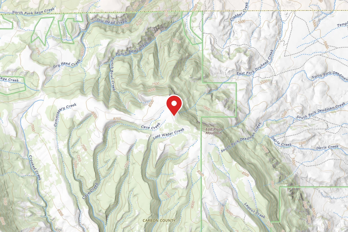 Custer Gallatin Dispersed Campsite BRD2308-011