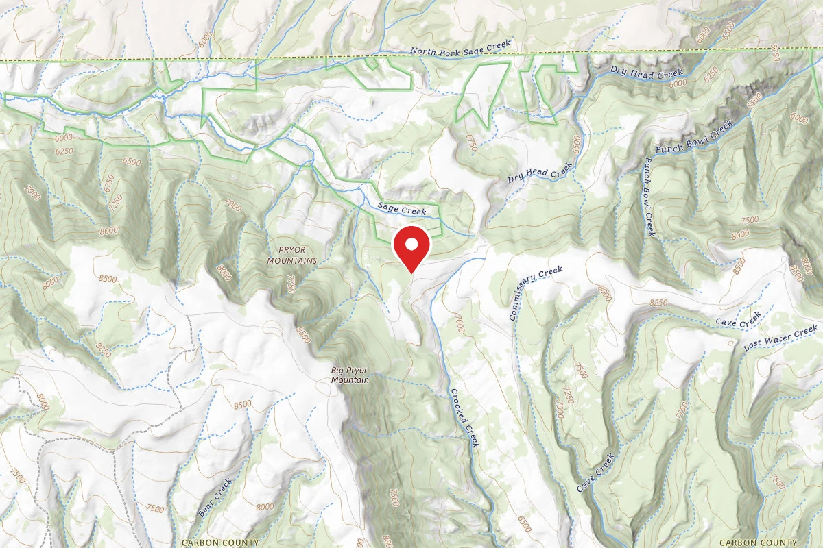 Custer Gallatin Dispersed Campsite BRD2097-001