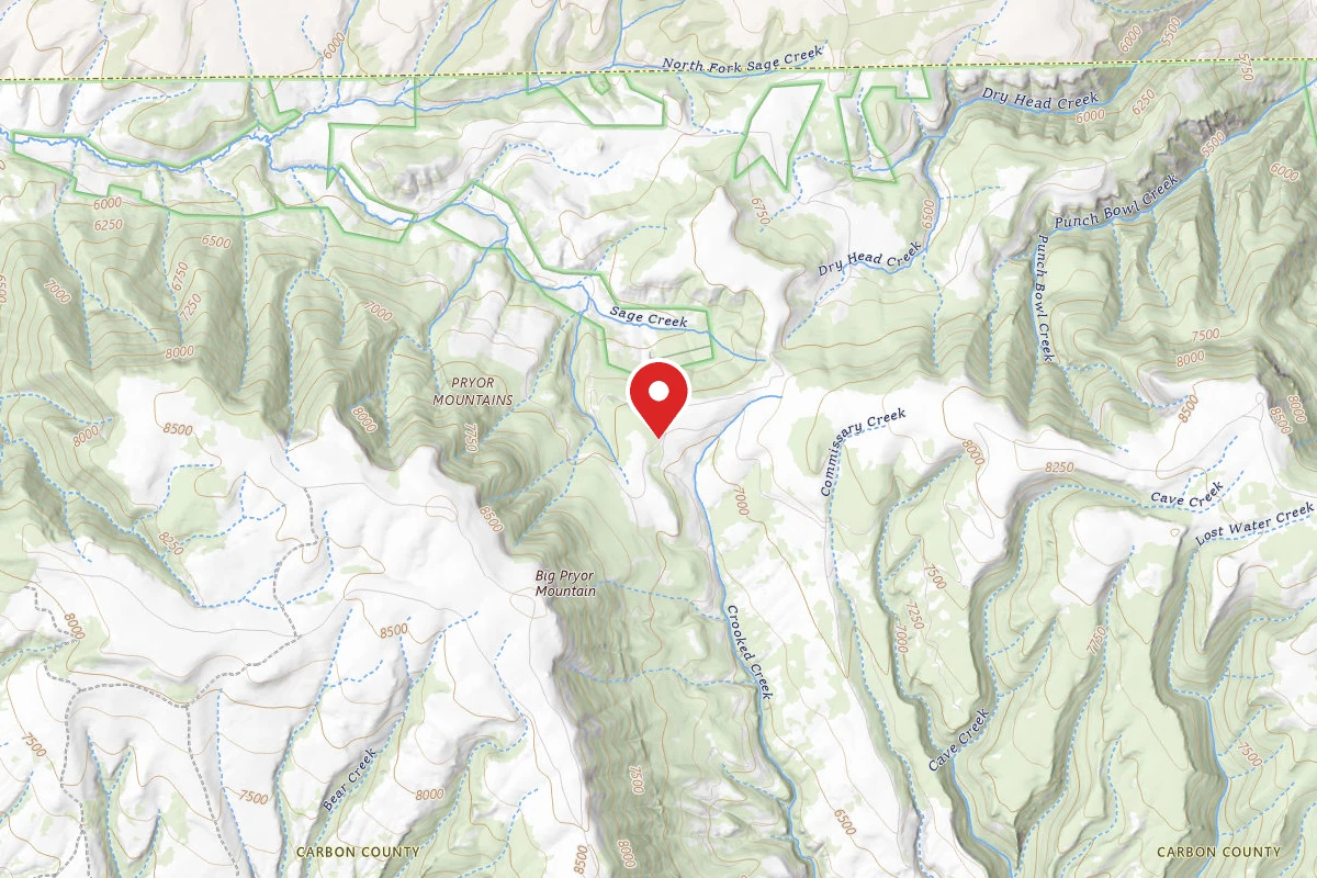 Custer Gallatin Dispersed Campsite BRD2308C-001
