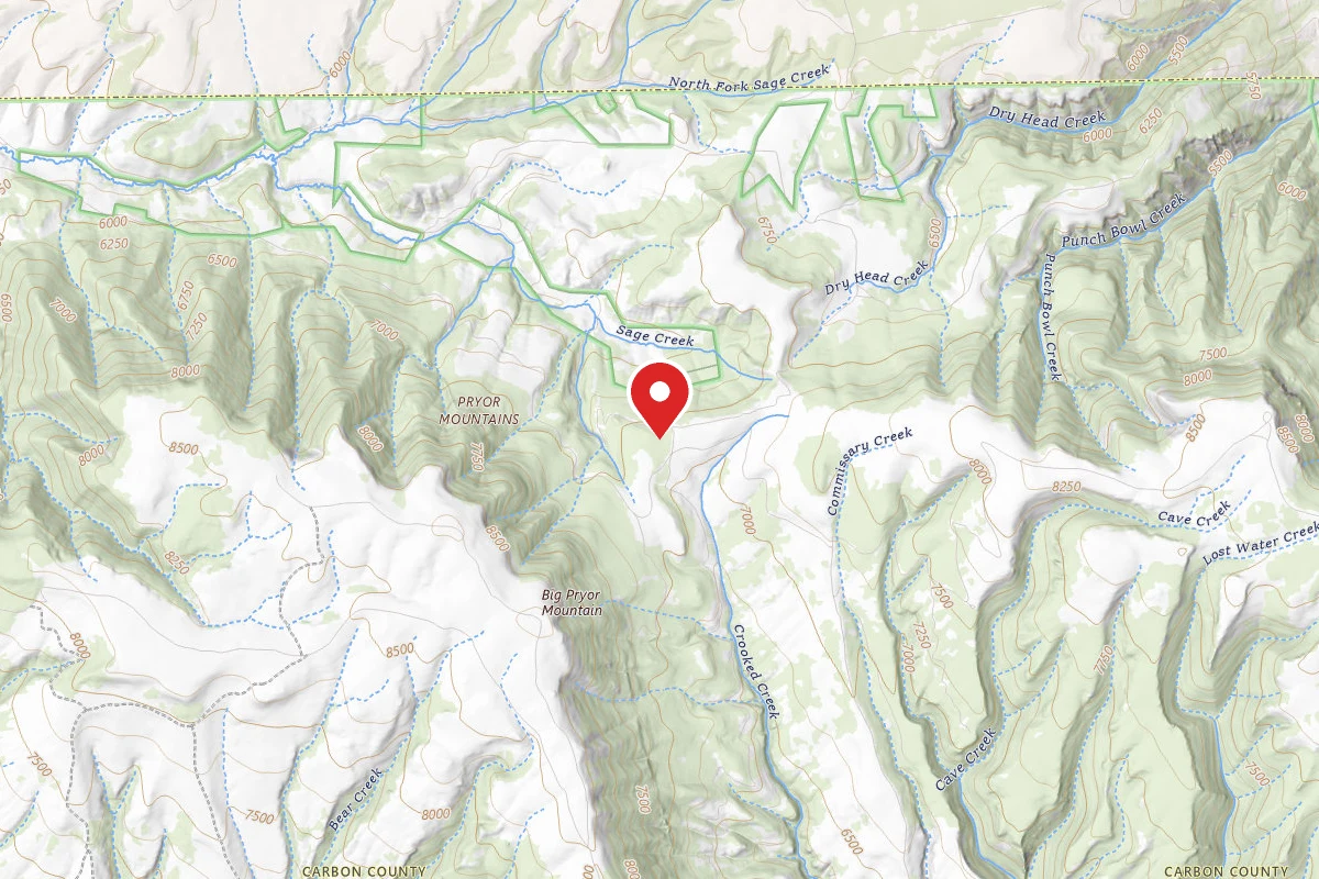 Custer Gallatin Dispersed Campsite BRD2308C-002