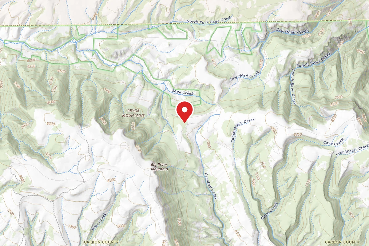 Custer Gallatin Dispersed Campsite BRD2308C-003