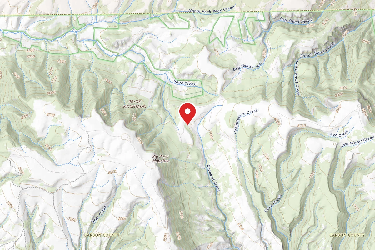 Custer Gallatin Dispersed Campsite BRD20852-001