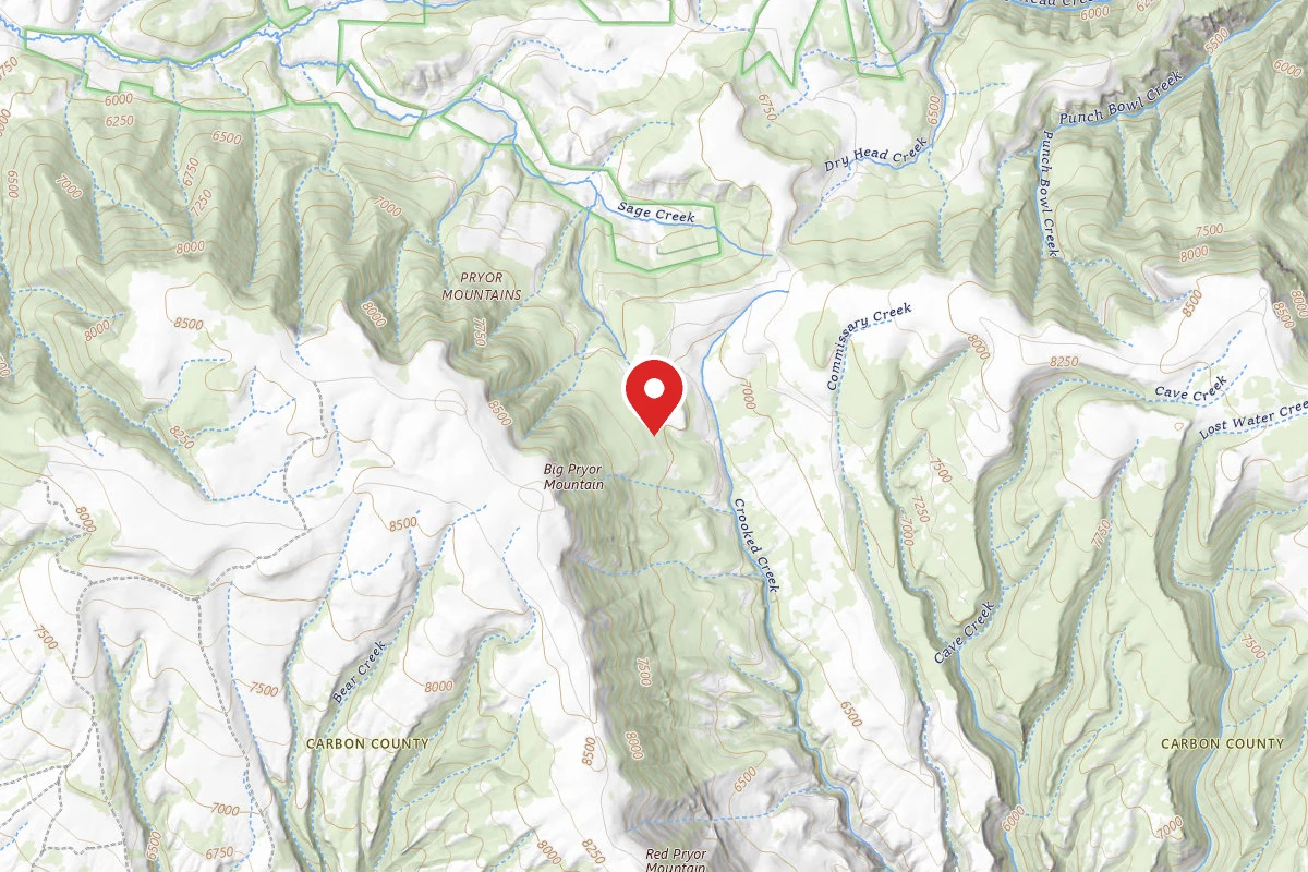 Custer Gallatin Dispersed Campsite BRD2104-001