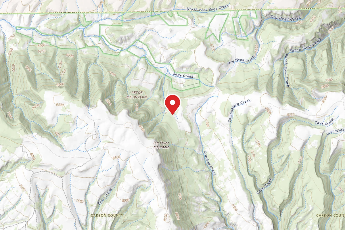 Custer Gallatin Dispersed Campsite BRD2308-012