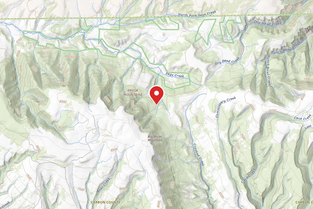 Custer Gallatin Dispersed Campsite BRD2308-014