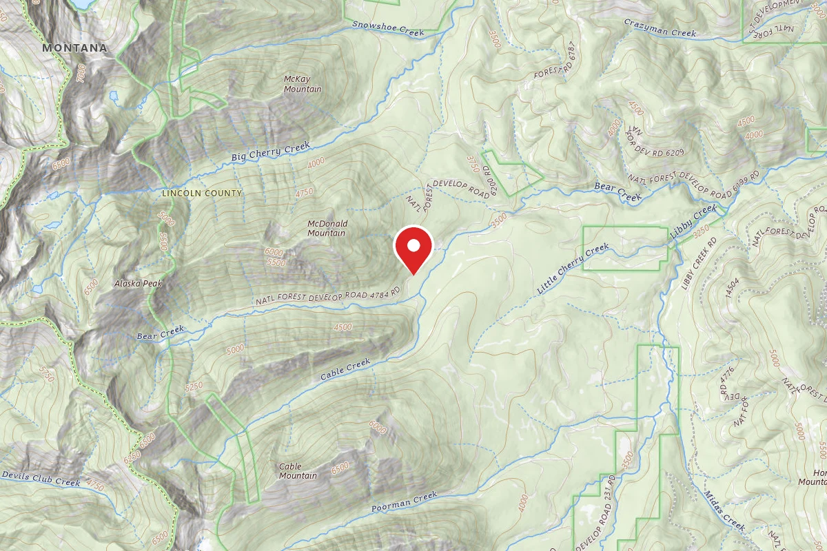 Kootenai Dispersed Campsite RD 4784 SITE 1
