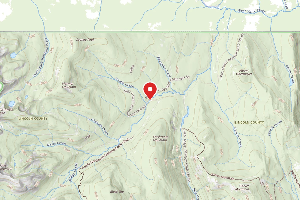 Kootenai Dispersed Campsite RD 5900 JUNGLE CREEK