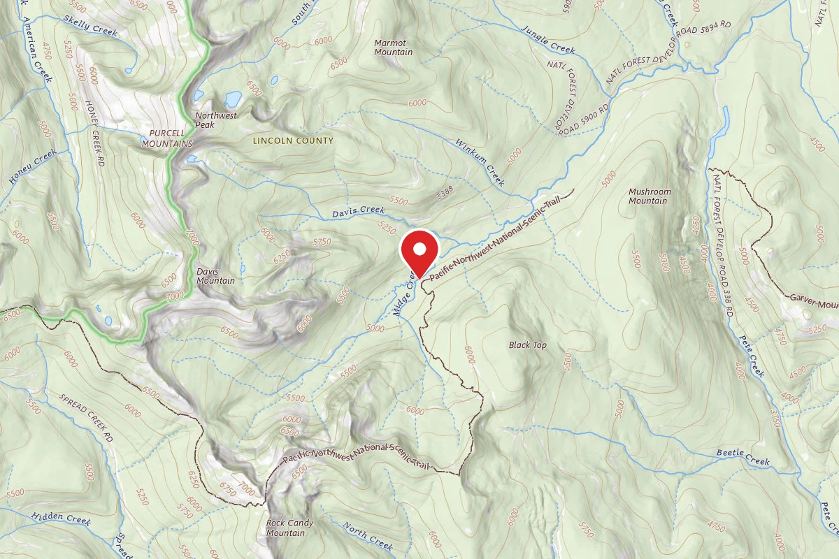 Kootenai Dispersed Campsite 5902RDMIDGECREEK