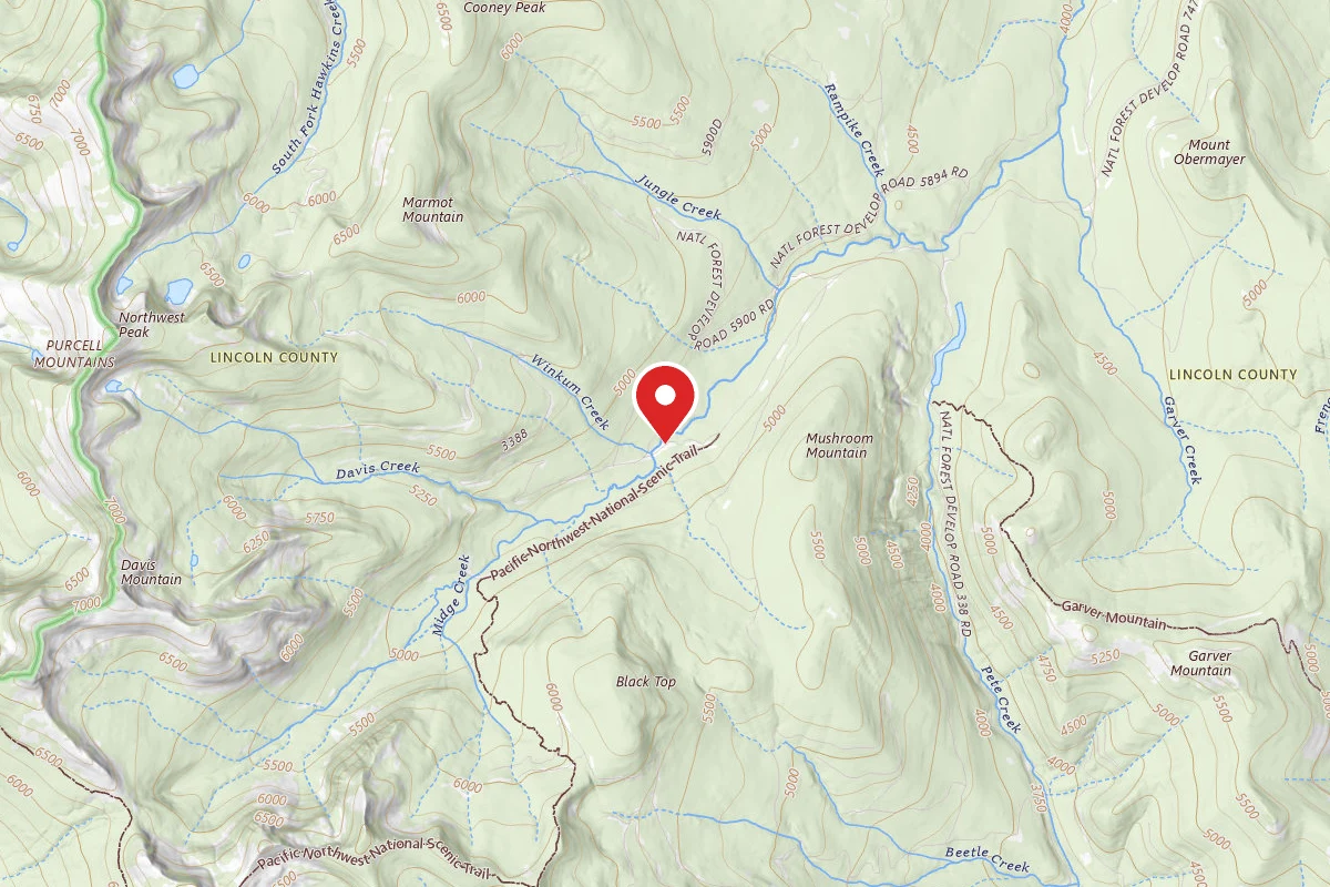 Kootenai Dispersed Campsite RD 338 SITE 5