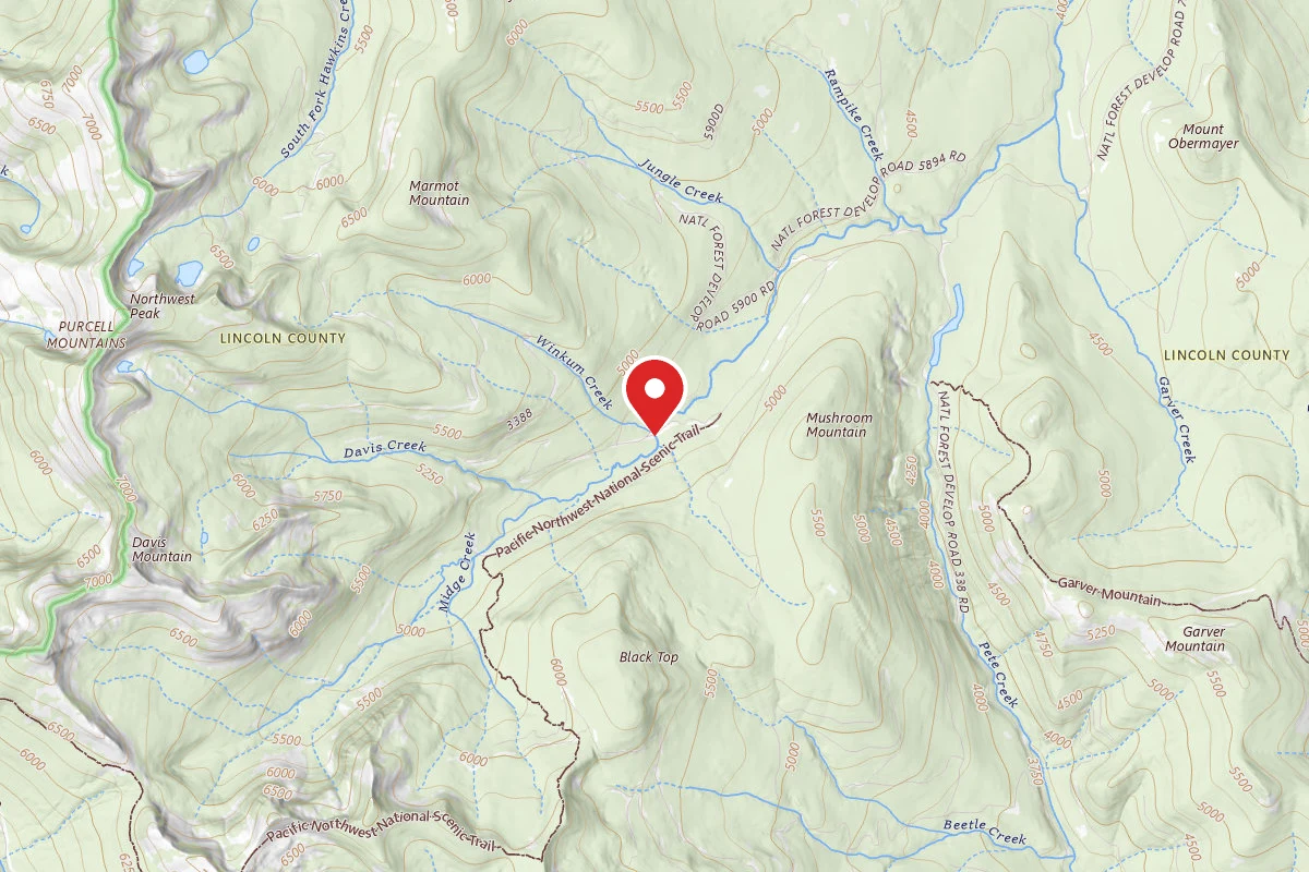 Kootenai Dispersed Campsite RD338 SITE 6
