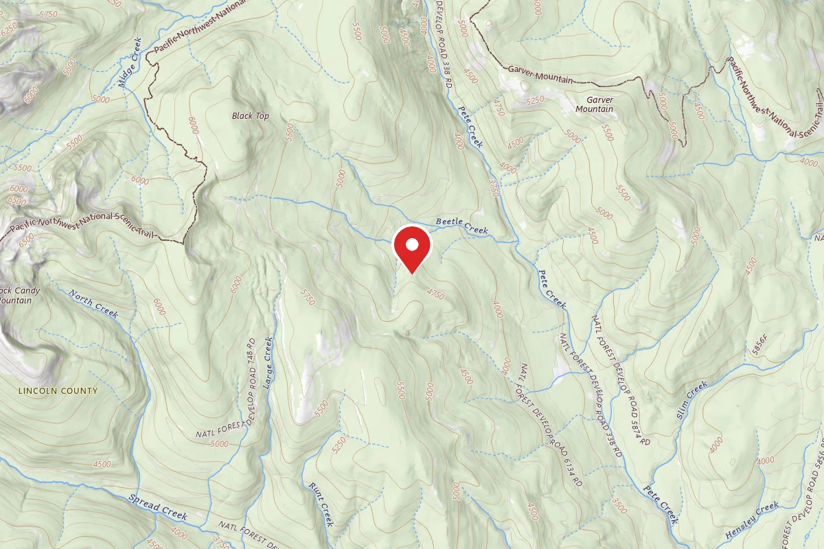 Kootenai Dispersed Campsite RD 5932 CAMP 3