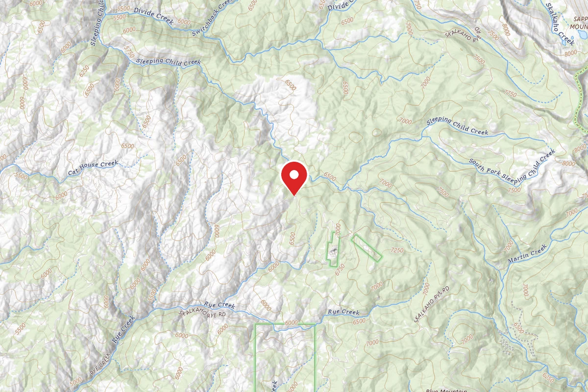 Bitterroot Dispersed Campsite 715-001