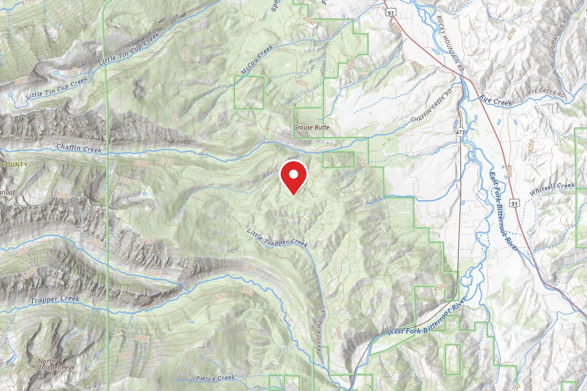 Bitterroot Dispersed Campsite 374-001