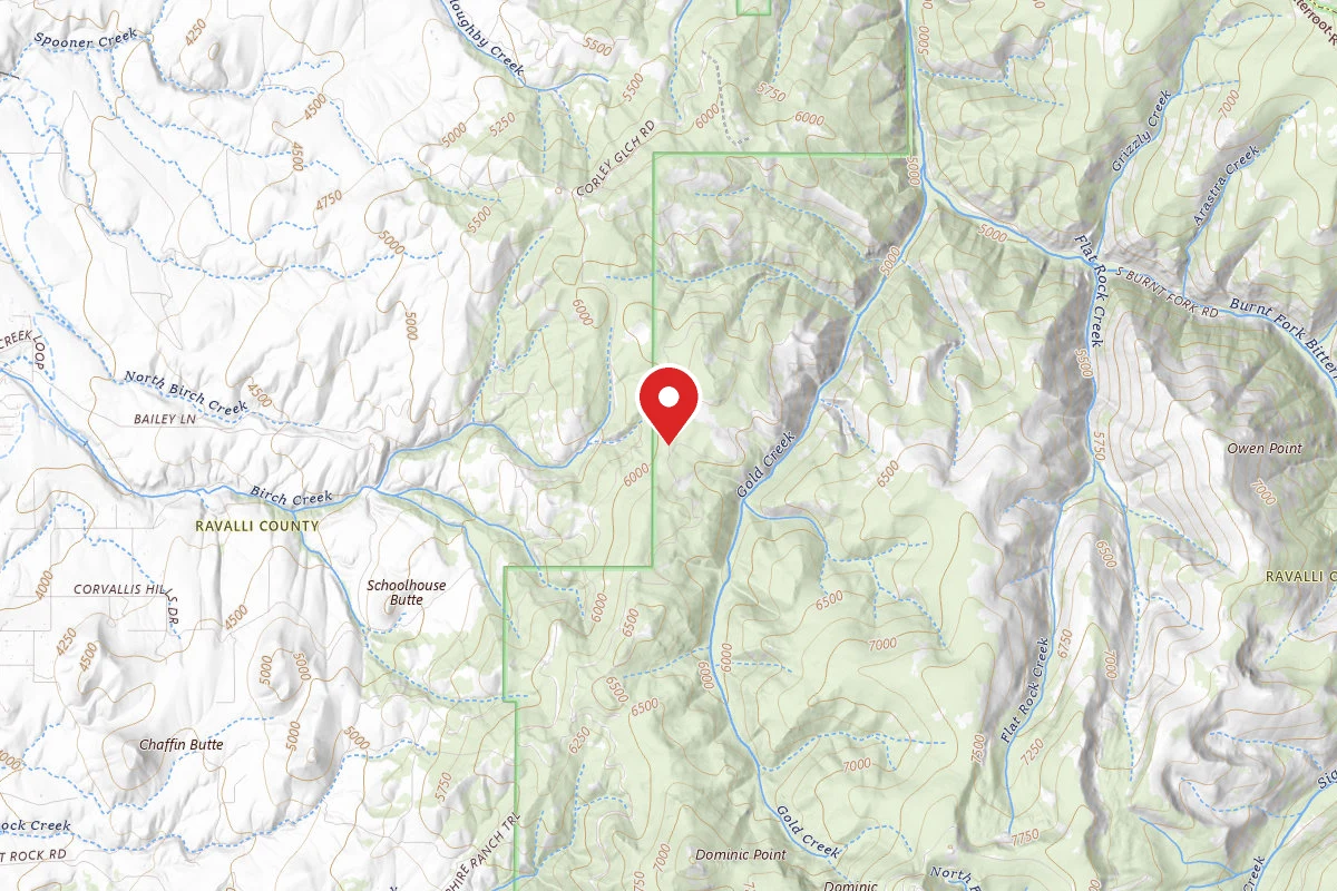 Bitterroot Dispersed Campsite 969-001