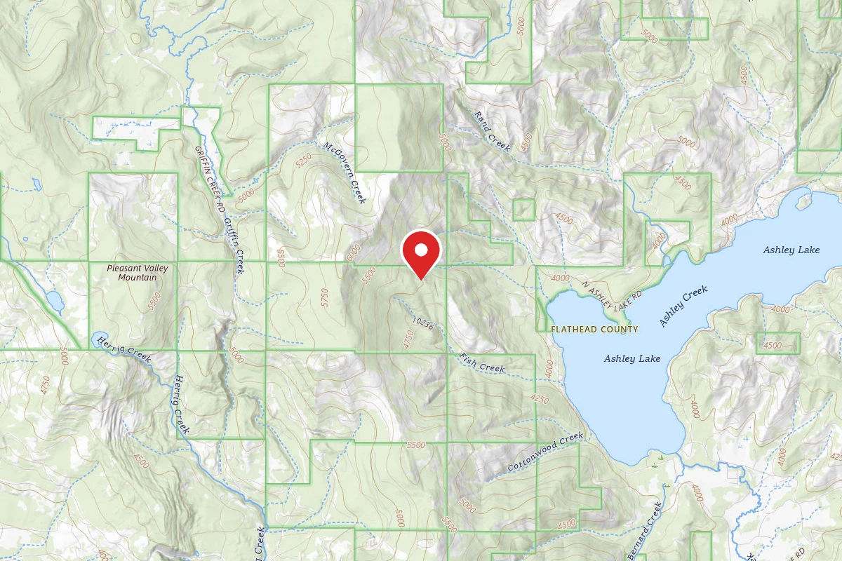 Flathead Dispersed Campsite ROAD 10236 -3