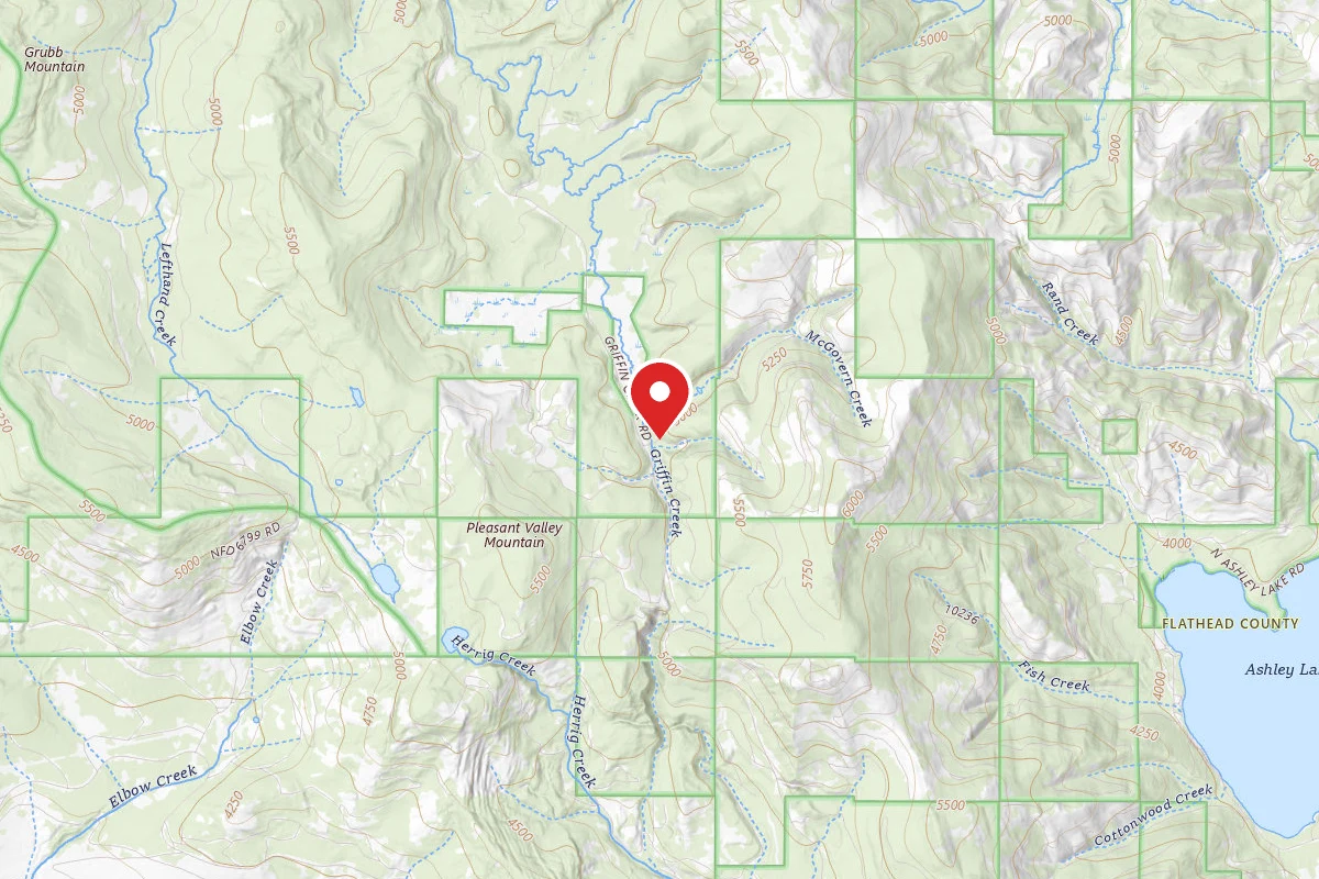 Flathead Dispersed Campsite ROAD538-2